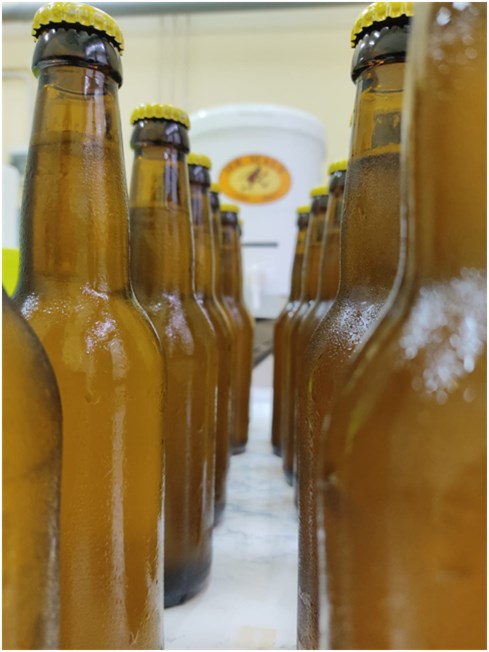Figura 1. Birre sperimentali prodotte nei laboratori della Scuola SAFE dell'Università degli Studi della Basilicata 