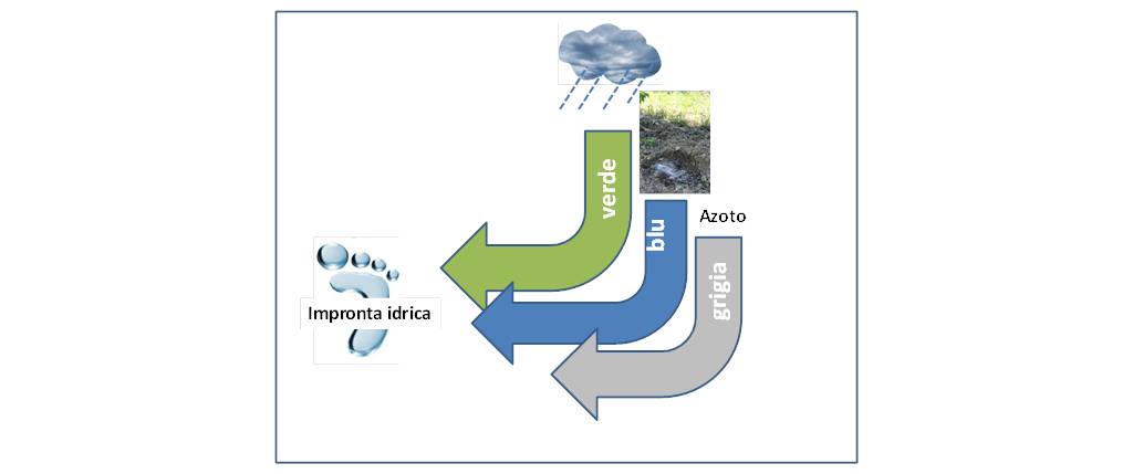 Figura 2. Schematizzazione delle componenti dell’impronta idrica: “verde”= acqua piovana immagazzinata nella zona radicale e persa per evapotraspirazione; “blu” = acqua irrigua persa per evapotraspirazione; “grigia” = acqua necessaria per ripristinare un livello accettabile della concentrazione di nitrati in falda