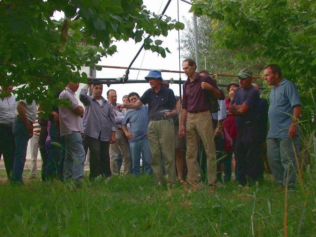 Figura 6. Azienda Angelone - Podolinsky (con il cappello) con un gruppo di agricoltori