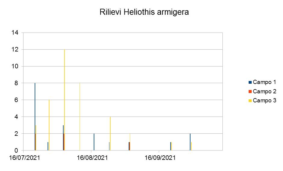Figura 1. Numero di individui di Heliothis armigera (nottua gialla del pomodoro) catturati nei rilievi settimanali nei tre campi monitorati