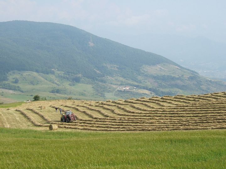 Fienagione in montagna