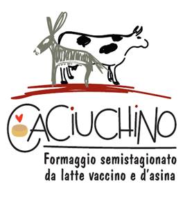 Figura 1. Logo scelto, dove l'immagine pesa per il 47,2%, il nome per il 26,6% e le informazioni per il 27,6% sull'impatto