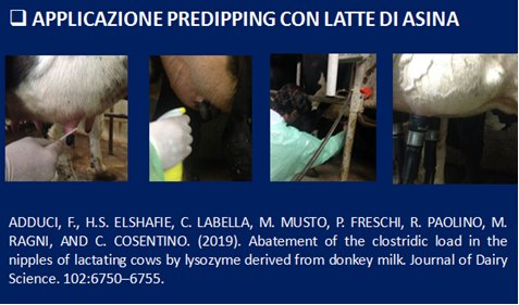 Figura 5. Altre valorizzazioni testate e realizzate con l'aggiunta di latte di asina