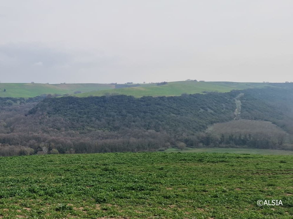 Agro di Montemilone (PZ)