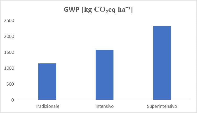 n 111 Immagine 1 Montanaro