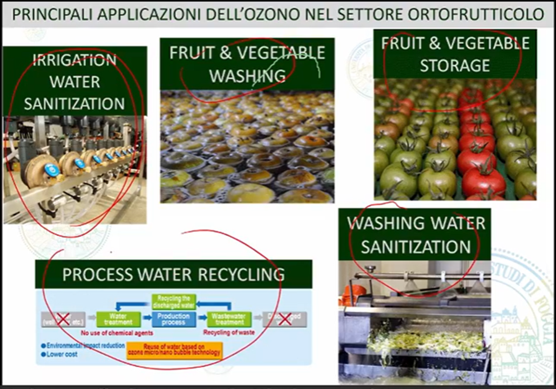 Principali applicazioni dell'ozono nel settore ortofrutticolo