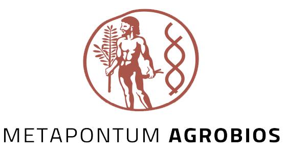 Figura 1. Logo di Metapontum Agrobios
