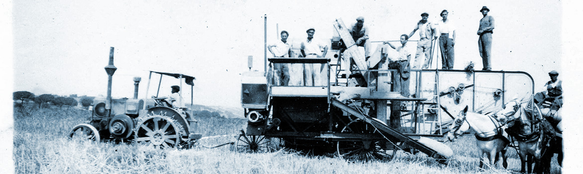 La Riforma Fondiaria del 1950 intervenne sulla vita nei campi sia sotto il profilo economico che sociale 