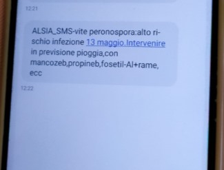 Sms inviato dall'Alsia didascalia.