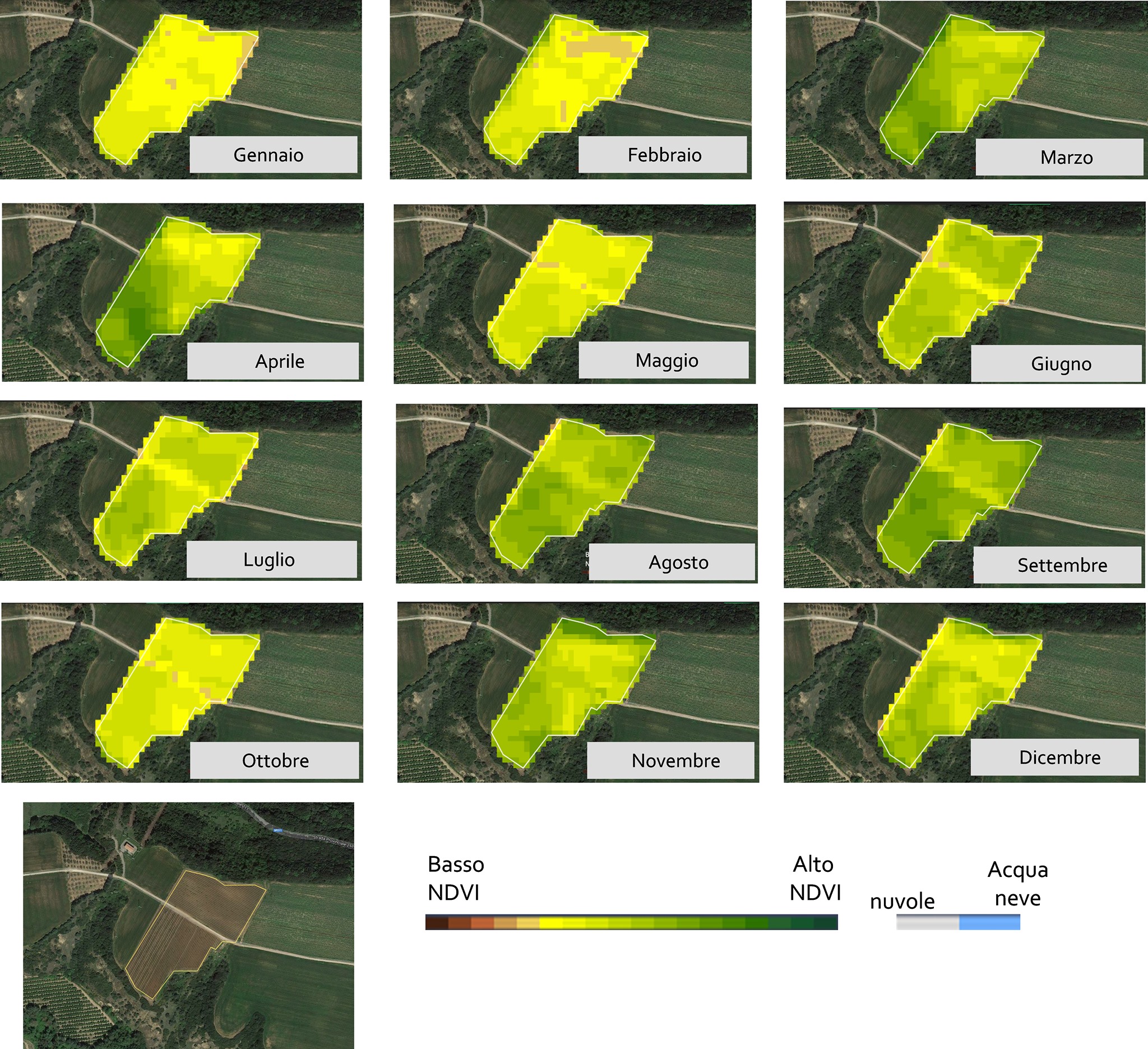 Figura 4. Sequenza di mappe NDVI da dati Sentinel 2 (una mappa per mese) per l’anno 2018 relative ad un vigneto ricadente nel comune di Montescaglioso (Matera). In basso composizione RGB a toni naturali di una immagine Sentinel 2 dell’area (il poligono bordato di giallo identifica l’area analizzata).