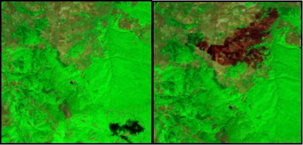 Figura 2. Immagini satellitari Sentinel-2 pre- e post-incendio
