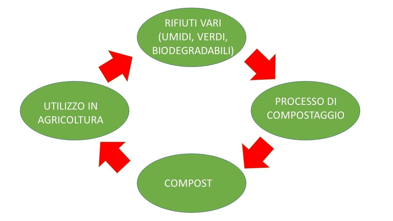 Figura 1. Schema illustrativo del processo di compostaggio