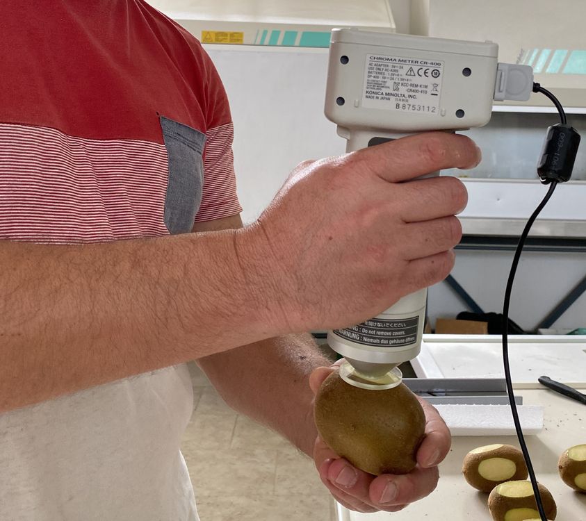 Figura 2. Esempio di misure con colorimetro digitale. Dopo aver rimosso circa 1-2 mm di buccia del frutto viene effettuata la lettura. Il risultato viene fornito in tonalità o tinta “h” indicato con HUE