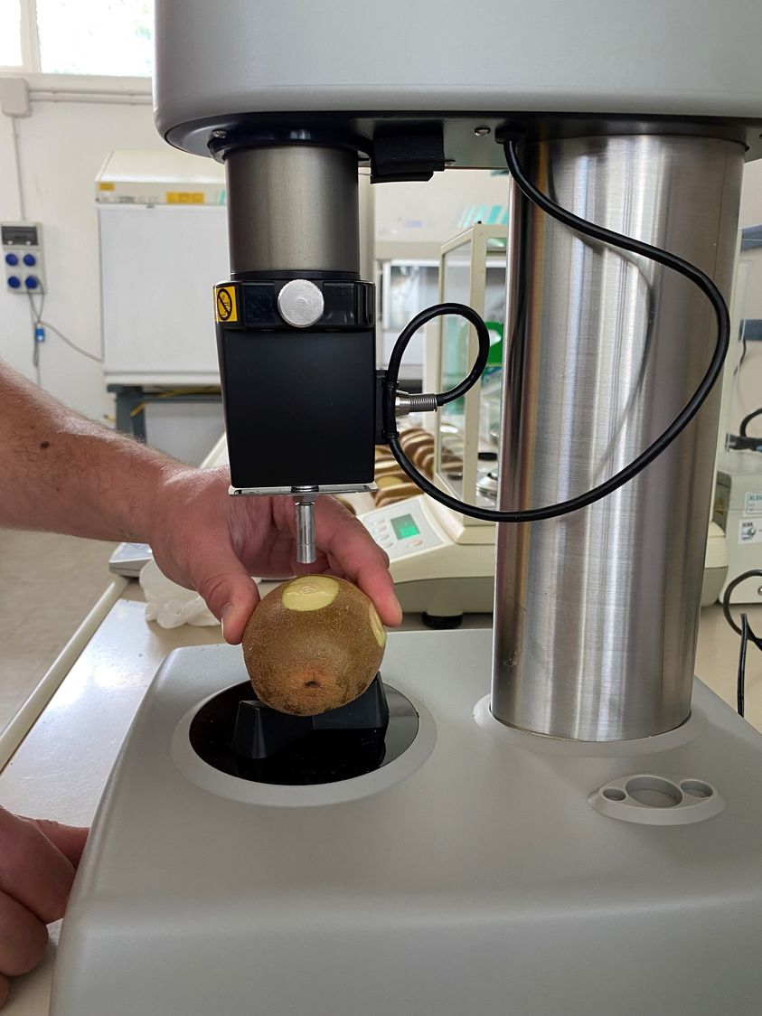   Figura 3. Esempio di misure con penetrometro da banco a lettura digitale