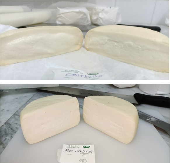 Figura 3. Formaggi prodotti durante le prove: controllo con caglio animale liquido (sopra), con inulina (sotto)