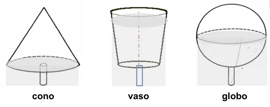 Figura 4.  Schematizzazione dell’auto-ombreggiamento in forme di allevamento con diversa geometria. 