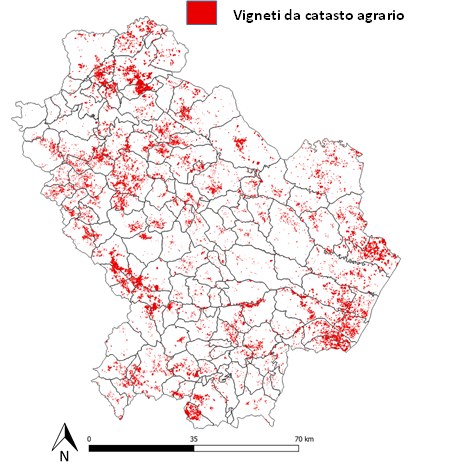 Figura 3. Vigneti lucani estrapolati dal catasto agrario del Ministero dell’Economia e delle Finanze (2014)