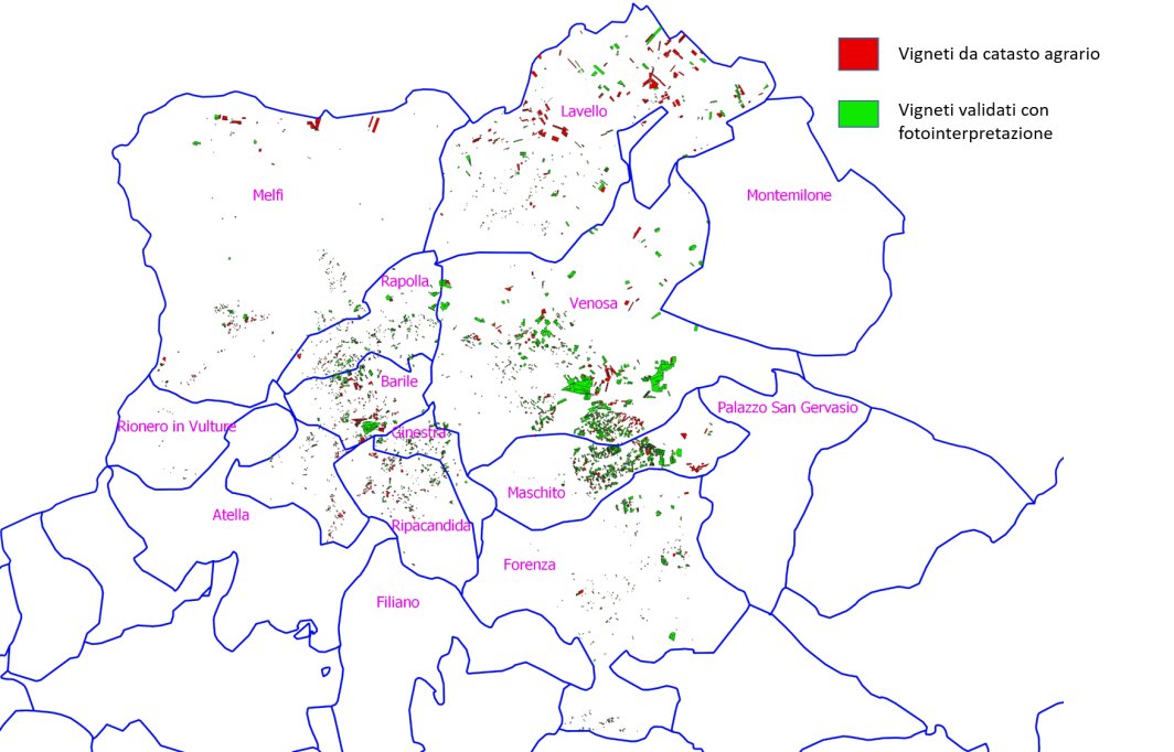 Figura 5. Zoom su tre comuni (Lavello, Venosa e Maschito) particolarmente significativi per presenza di aree vitate, laddove sono più evidenti le discrepanze tra i vigneti estrapolati dal catasto e quelli rilevati attraverso la procedura basata su fotointerpretazione e analisi GIS