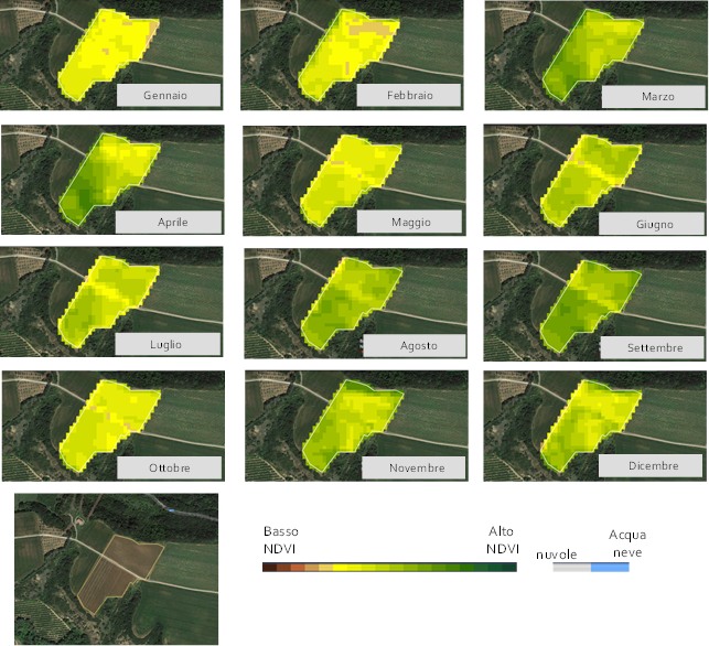 Figura 6. Sequenza di mappe NDVI da dati Sentinel 2 (una mappa per mese) per l’anno 2018 relative ad un vigneto ricadente nel comune di Montescaglioso (Matera). In basso composizione RGB a toni naturali di una immagine Sentinel 2 dell’area (il poligono bordato di giallo identifica l’area analizzata)