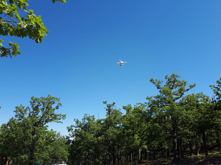 Figura 3. Rilievi con drone nel bosco Capillo di S. Paolo Albanese