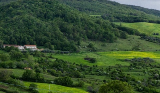 Tipico paesaggio agro-forestale delle aree interne della Basilicata (Comune di Pietragalla-PZ)