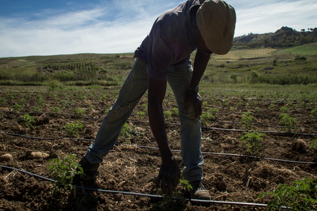 Uno scatto della mostra fotografica 