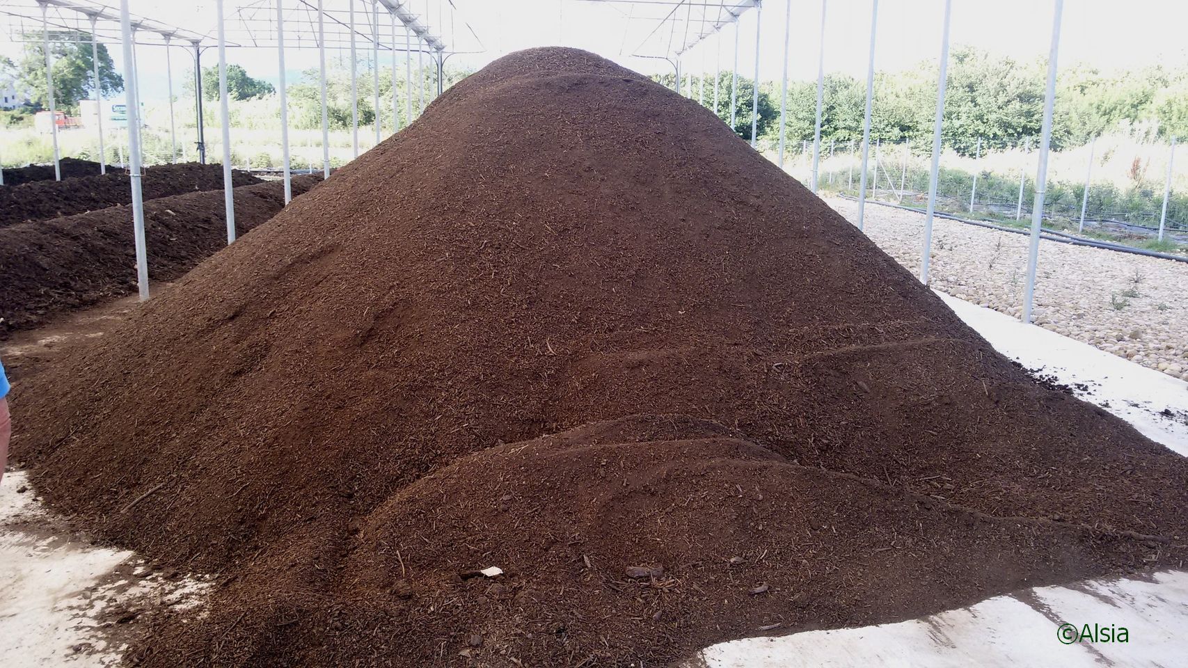 Cumulo di compost prodotto con scarti di aziende agricole