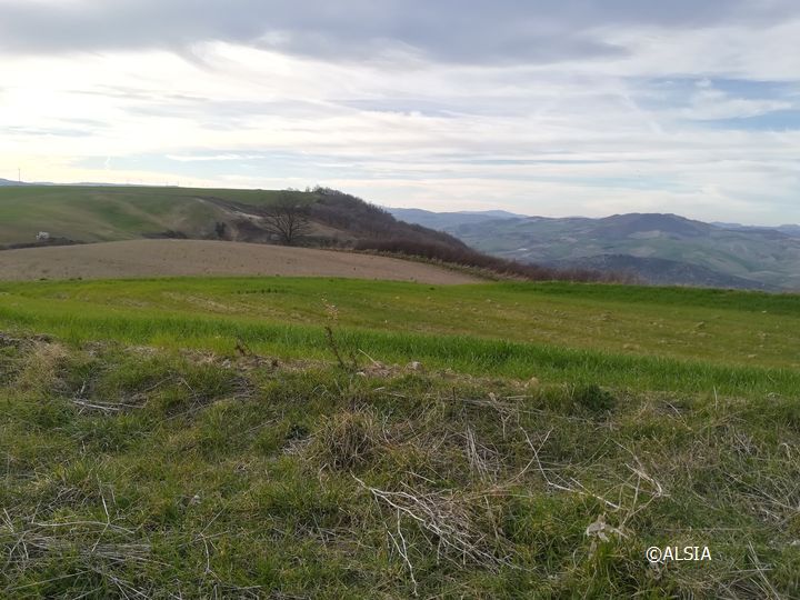 Paesaggio lucano