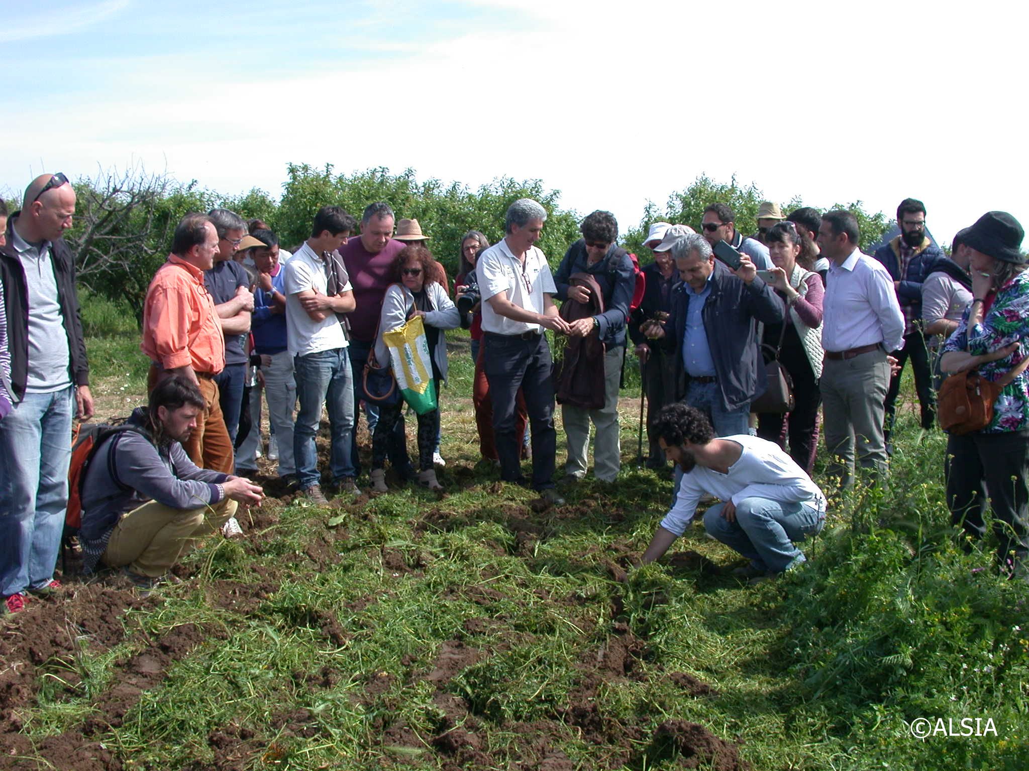 Confronto agroecologico in campo