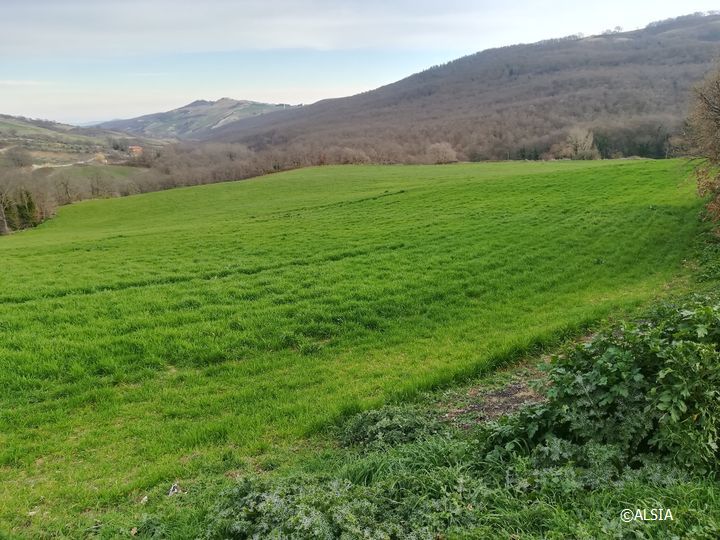 Campagna potentina