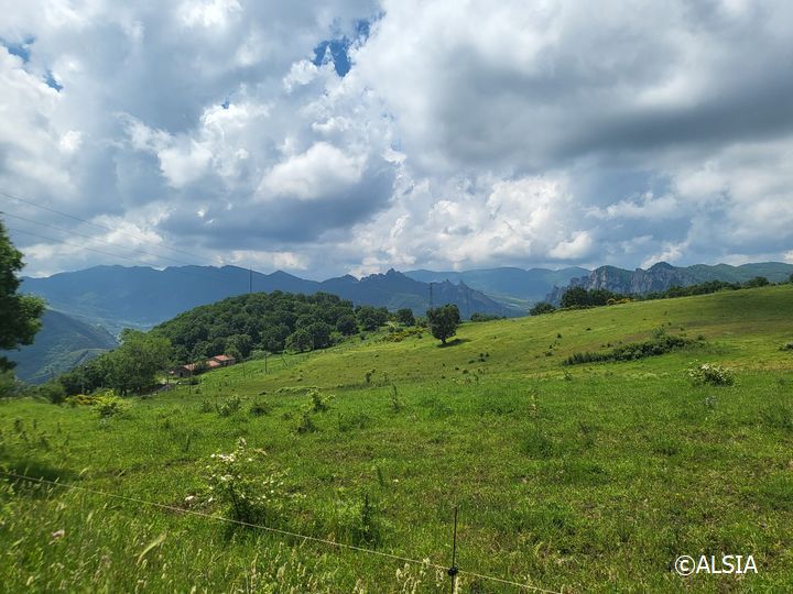 Campagna lucana