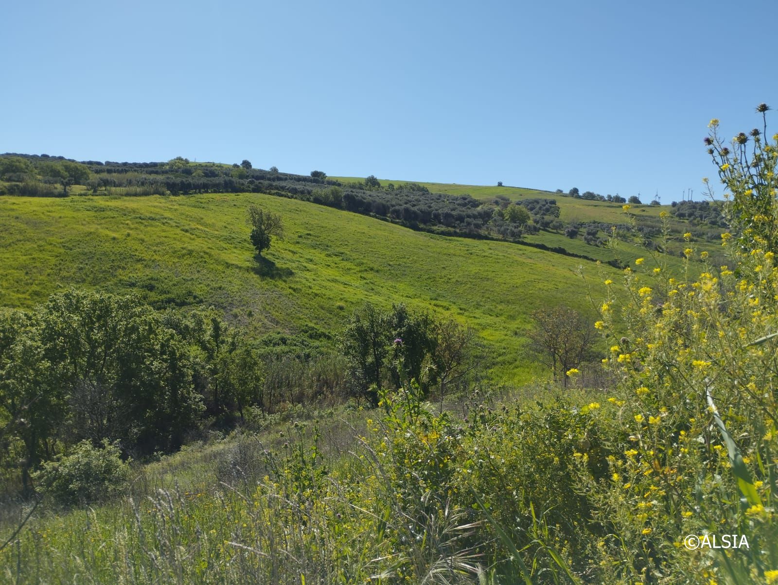 Campagna lucana (Rapolla - PZ)