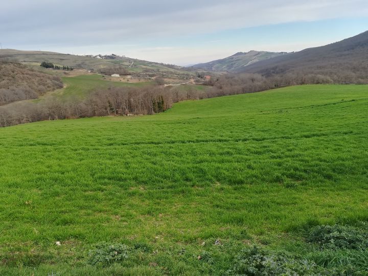 Campagna lucana