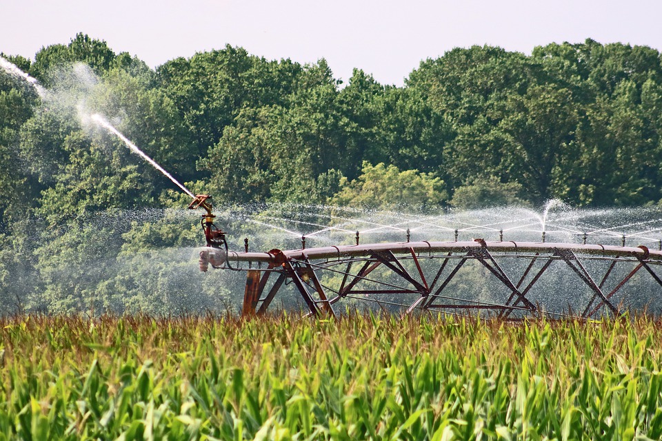 Acque reflue in agricoltura. Il loro uso regolato dalla legge approvata dal Parlamento europeo 