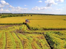 Confagricoltura ha promosso una piattaforma per l'incontro fra domanda e offerta in agricoltura 