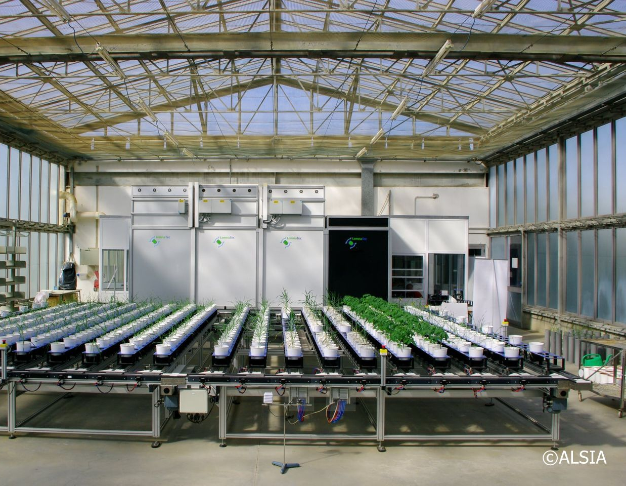 Piattaforma Phenolab del CRMA (Centro Ricerche Metapontum Agrobios) dell'Alsia