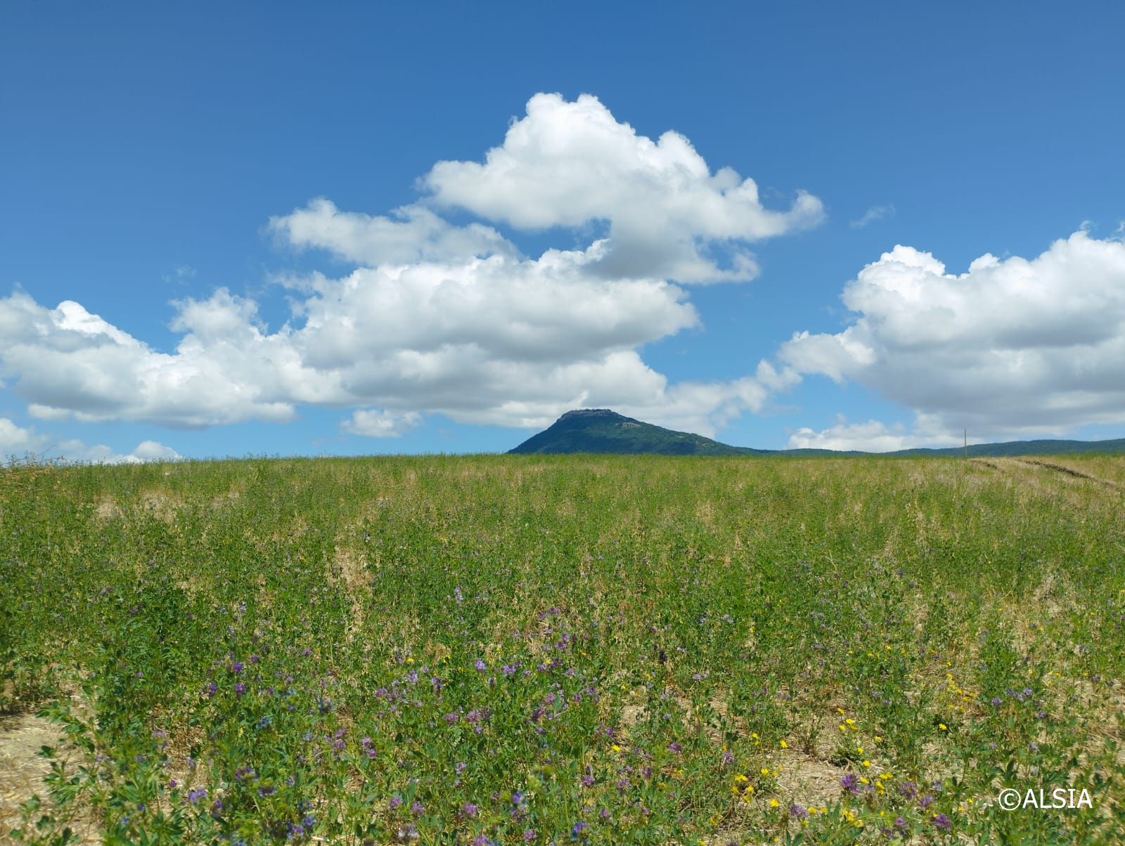 Monte Santa Croce, San Fele (PZ)