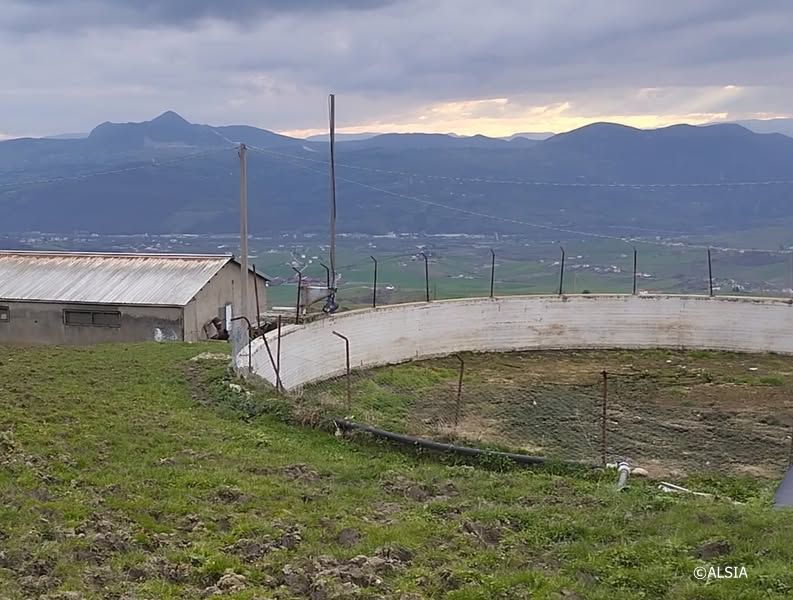 Stalla con vasca di accumulo effluenti di allevamento