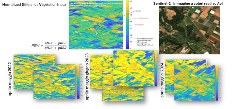 Prodotti Ndvi (Normalized difference vegetation index) ricavati sull’actinidieto dell’Azienda agricola Clemente