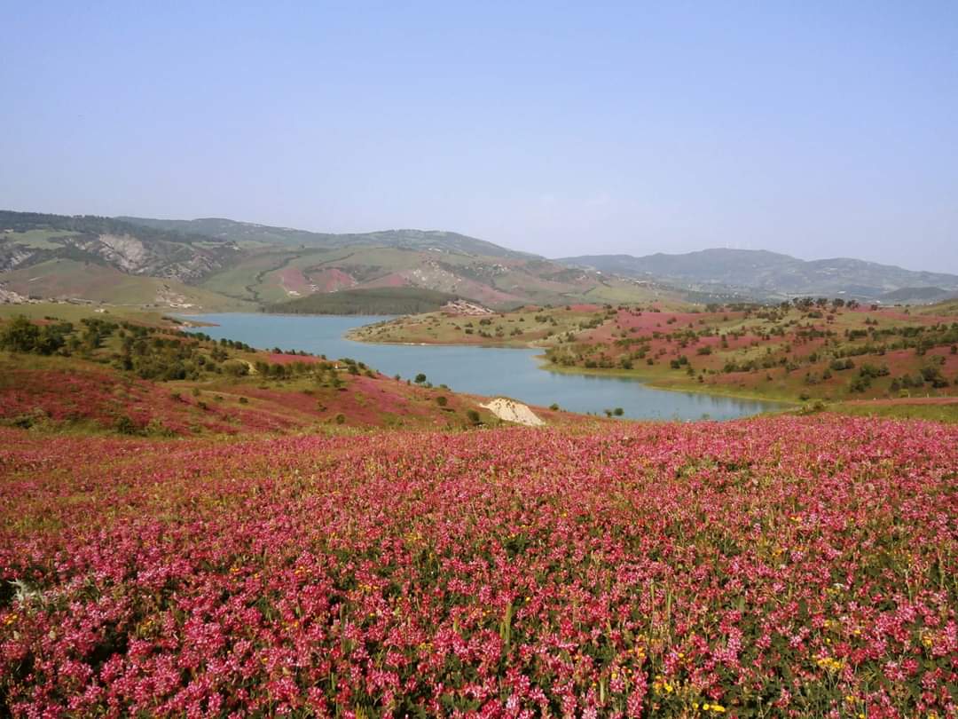 Il lago di Monte Cotugno