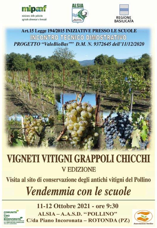 La locandina dell'evento