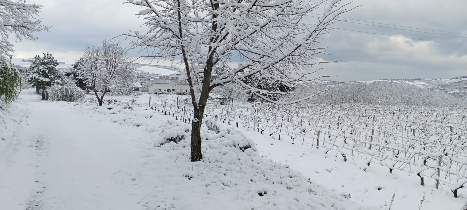 I campi dell'Aasd Pantano di Pignola coperti di neve